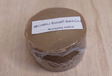 buy Soap - Acalypha Indica