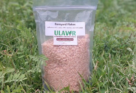 buy Barnyard (Kuthiraivali) Flakes