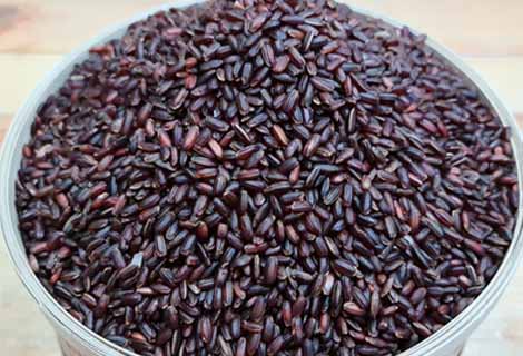 buy Kaattuyanam Rice