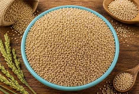 buy Little Millet