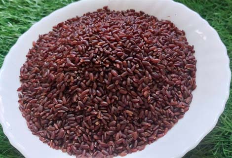 buy Poongar Rice