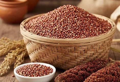 buy Red Cholam