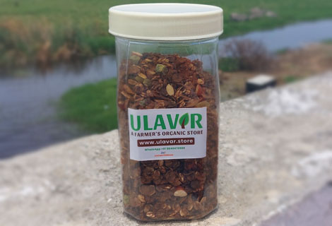 buy Chocolate Muesli